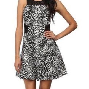 Parker Dress in Black and White